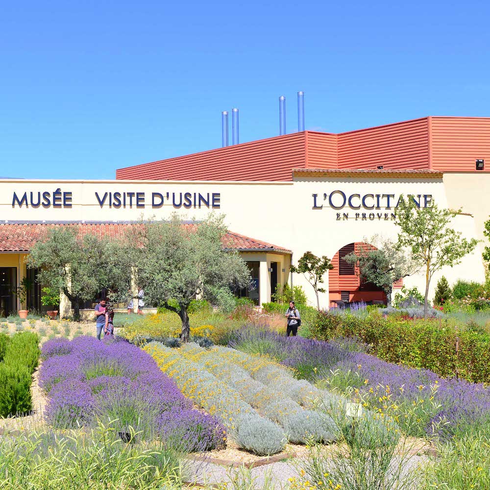 Image de la visite d'entreprise de L'Occitane - visite d'entreprise