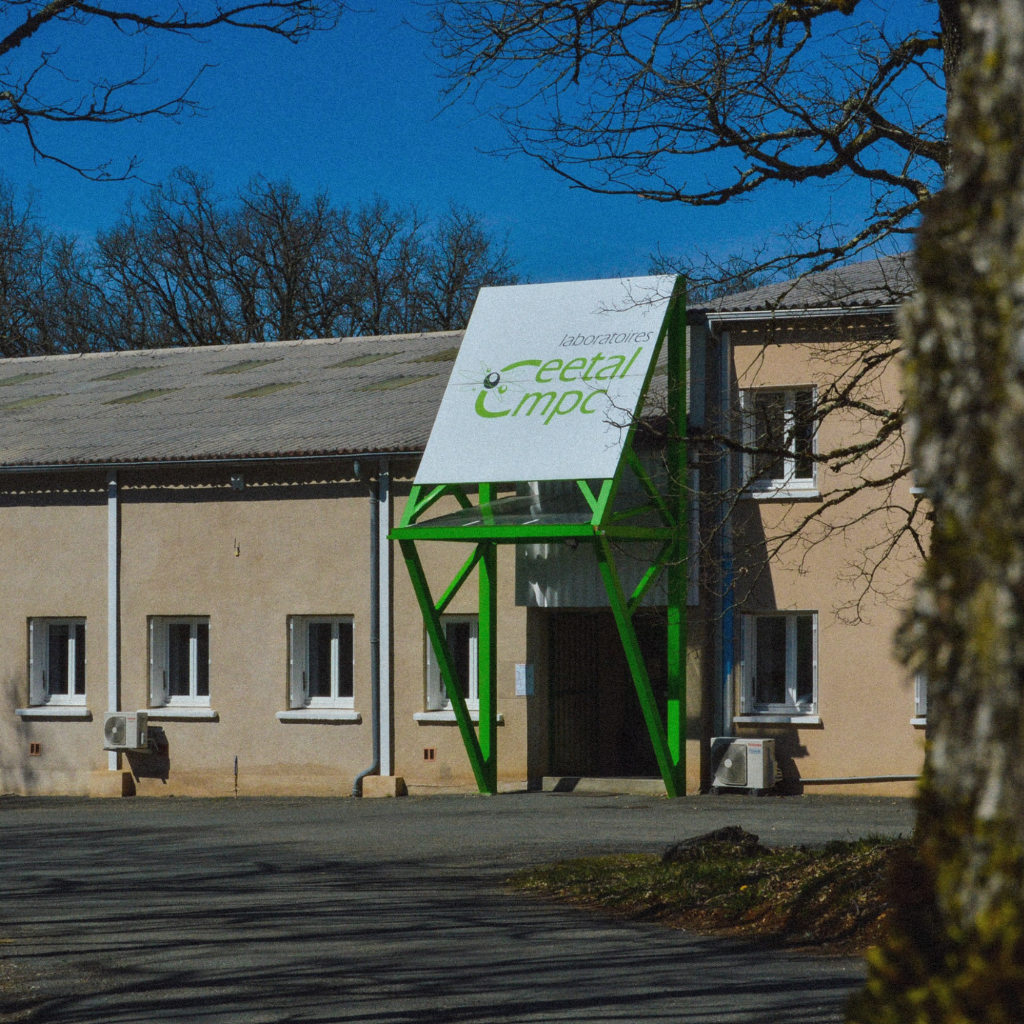 Image pour représenter l'accompagnement B2B