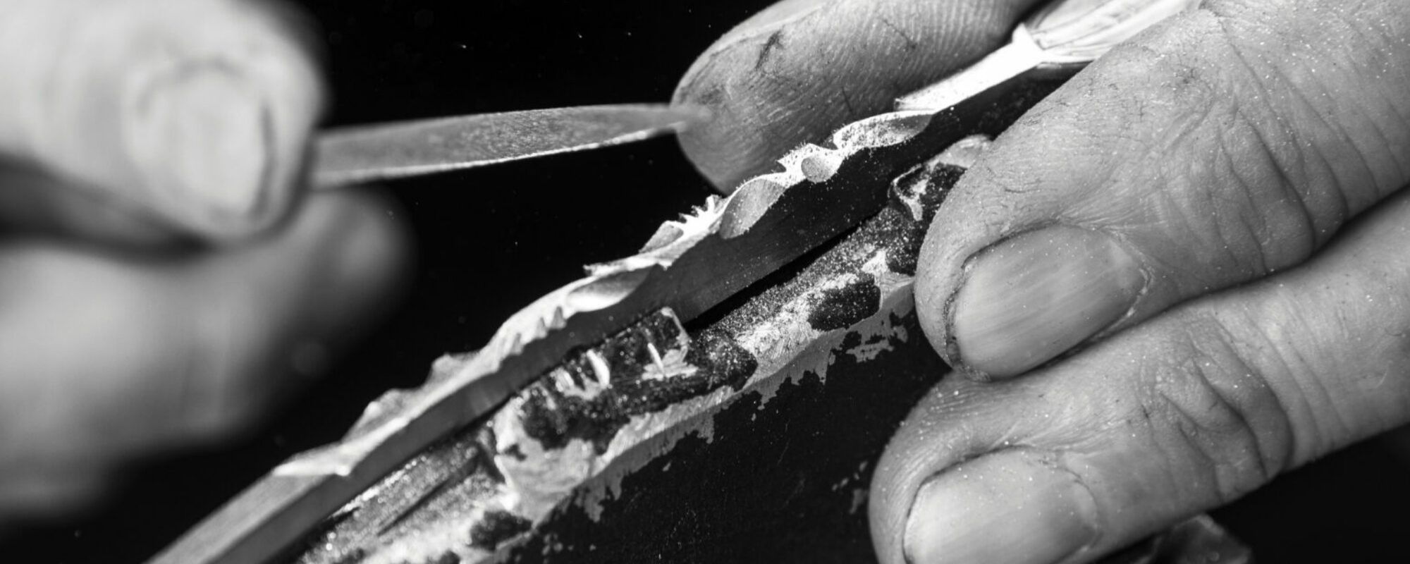 Image pour représenter la collaboration entre savoir d'ici et fontenille pataud